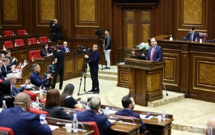 Parliament debates civil initiative on launching process of RA accession to EU in second reading